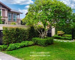Luxury House for Rent at Nantawan Bangna km7 150,000 Baht/month