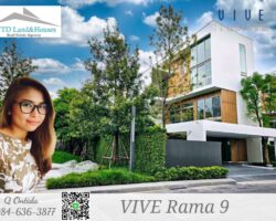 ขาย บ้านหรู VIVE พระราม 9 บ้านเดี่ยว Super Luxury ,3 ชั้น ดีไซน์ใหม่ในสไตล์ “Modern Japanese”