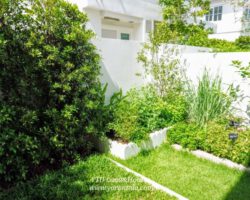 House for Rent, CHAIYAPRUEK Bangna KM.15 55,000 Baht/month (Partly furnished)