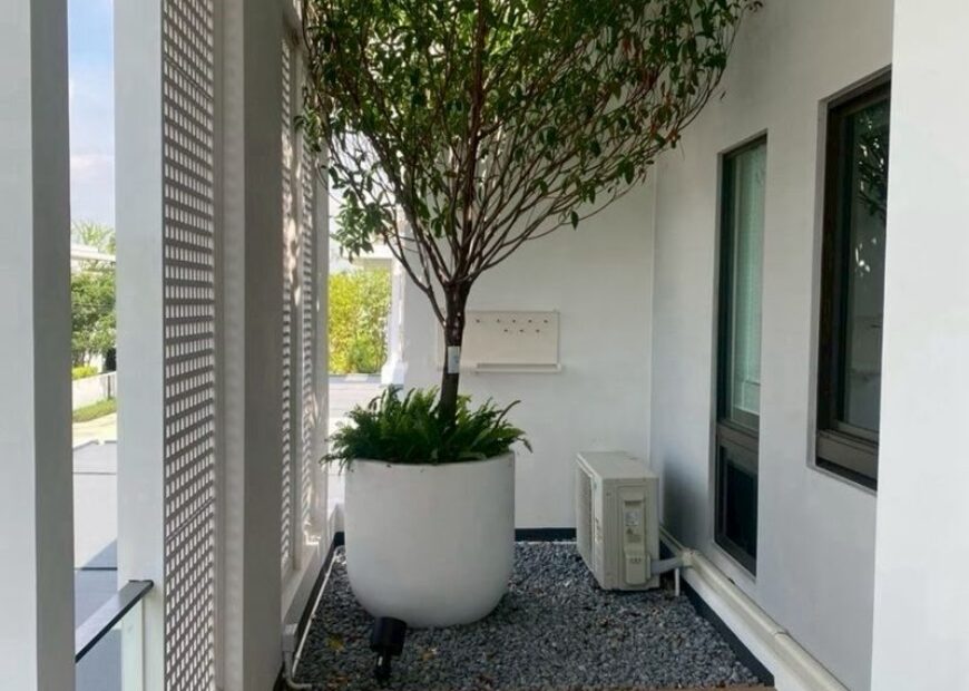 ให้เช่าบ้าน มัณฑนา บางนา กม.15 ใกล้สวน บ้านทิศใต้  (เฟอร์นิเจอร์ครบชุด)