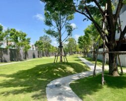 ให้เช่าบ้านเดี่ยว บ้านกลางเมือง ดิ อิดิชั่น บางนา