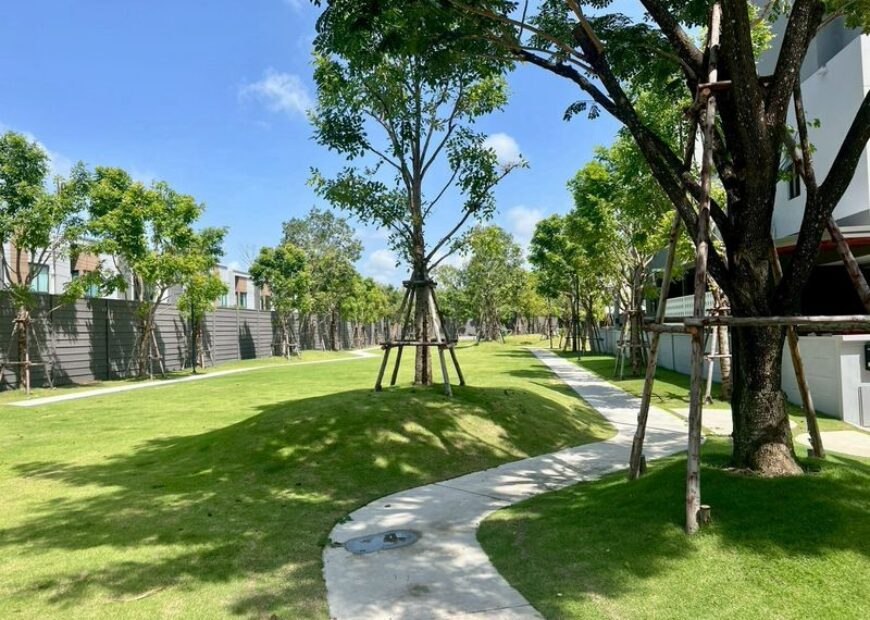 ให้เช่าบ้านเดี่ยว บ้านกลางเมือง ดิ อิดิชั่น บางนา
