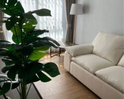 ให้เช่าบ้านเดี่ยว โครงการ Centro บางนา บ้านเดี่ยวดีไซน์ใหม่ติดเมกะ-บางนา  (เฟอร์นิเจอร์ครบ)