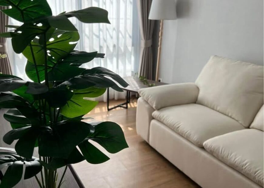 ให้เช่าบ้านเดี่ยว โครงการ Centro บางนา บ้านเดี่ยวดีไซน์ใหม่ติดเมกะ-บางนา  (เฟอร์นิเจอร์ครบ)