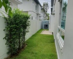 for sale in the Manthana Ratchapruek – Nakhon In