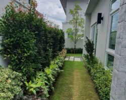 for sale in the Manthana Ratchapruek – Nakhon In